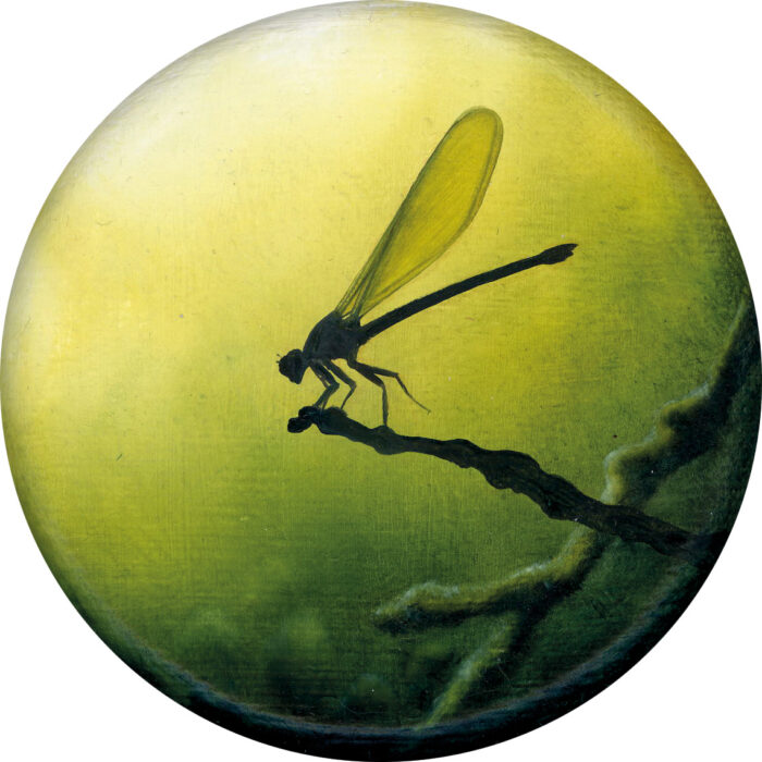 Annette von der Bey, Lea Lenhart, Elke Scheu | Kleine Große